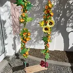 Susy’s Garden
